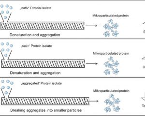 Prinzip des Mikropartikulierens bei Molke-, Kartoffel- und Erbsenproteinisolat.