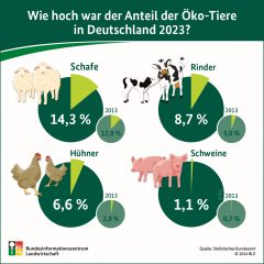 Anteil der Öko-Tiere in Deutschland 2023